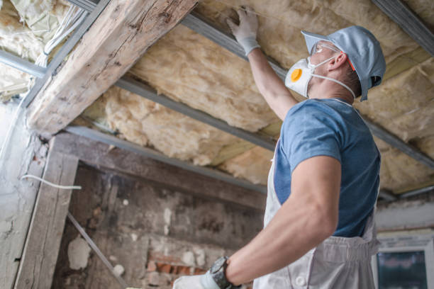 Best Specialty Insulation in Louisville, MS