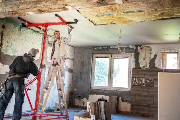 Best Insulation Installation Services in Louisville, MS