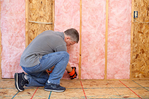 Best Energy Efficiency Solutions in Louisville, MS
