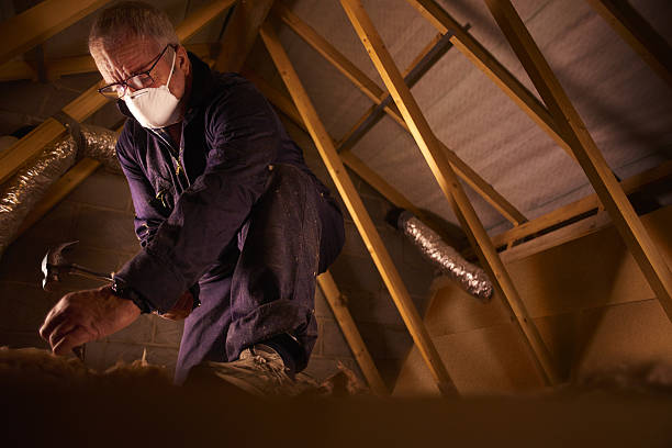 Best Commercial Insulation in Louisville, MS